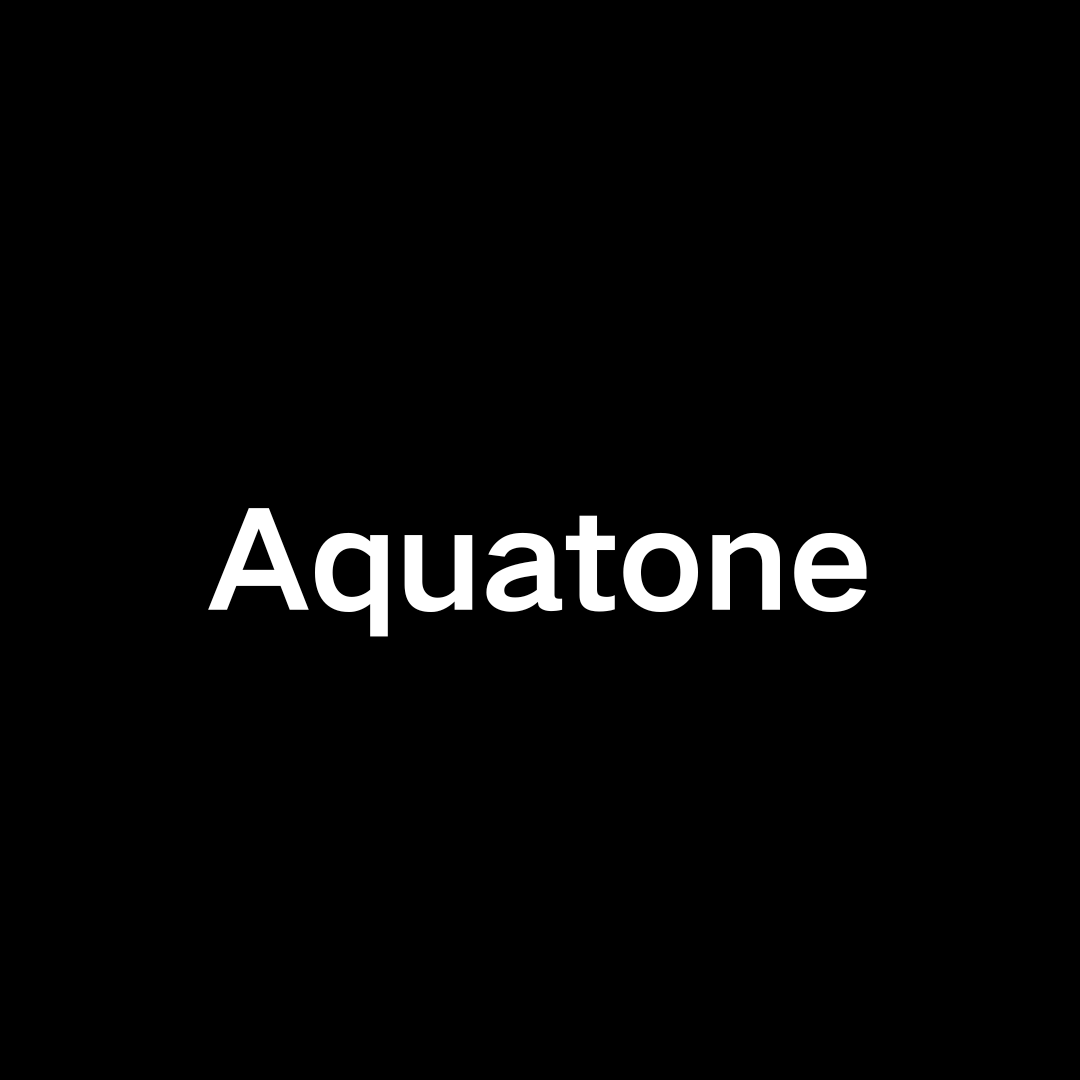 Aquatone	一种用于对大量主机上的网站进行可视化检查的工具