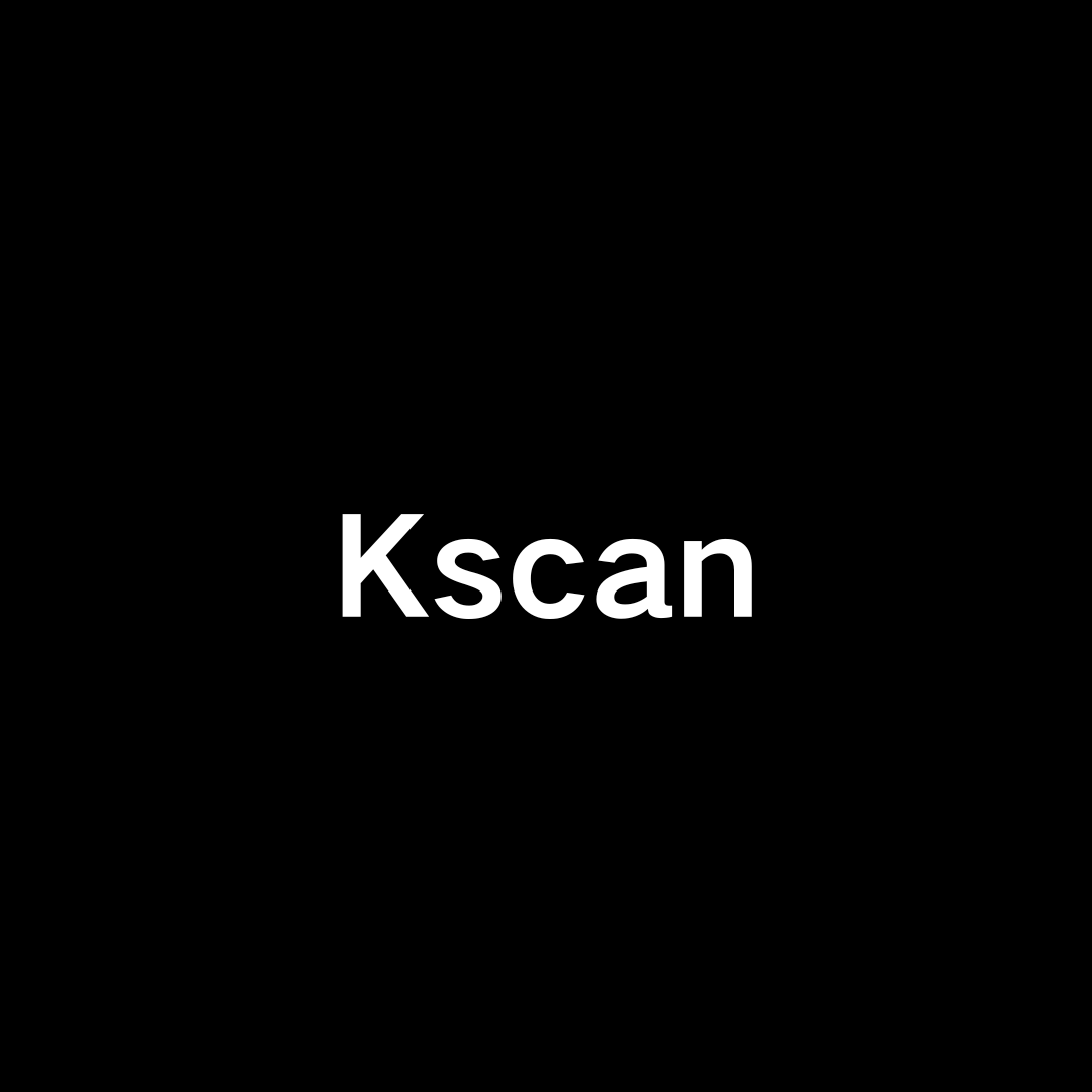 Kscan一款纯go开发的全方位扫描器